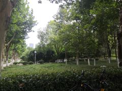 -后襄河公园
