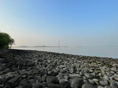 -上海吴淞炮台湾国家湿地公园