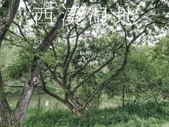 -西溪国家湿地公园