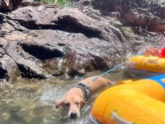 -安吉龙王山峡谷漂流