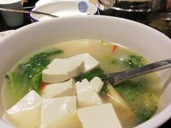 -陈麻婆豆腐总店