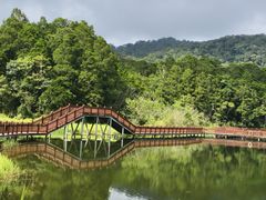 -海南热带雨林国家公园吊罗山景区