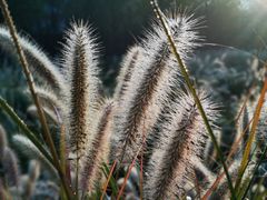 -济南国际园博园