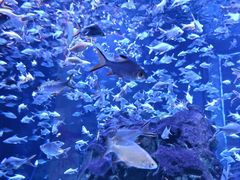 -成都浩海立方海洋公园