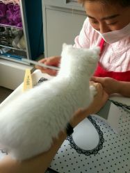 -尚美日式美甲美睫工作室