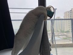 -仁普宠物诊所(住友昌盛新苑店)