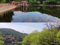 -北岭山森林公园
