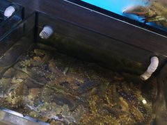 -金海湾海鲜总店
