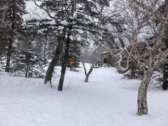 -凤凰山国家森林公园