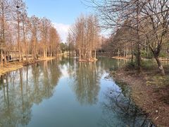 -中国湿地博物馆