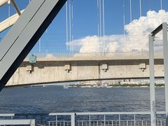 -人民防洪胜利纪念塔