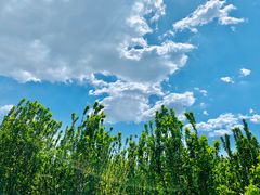 -永定河休闲森林公园