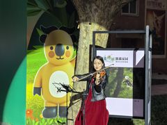 -西安电影制片厂