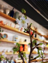 -今日陶艺(富力广场店)