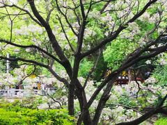-桂林两江四湖景区