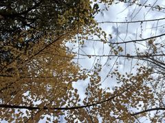 -艾溪湖湿地公园