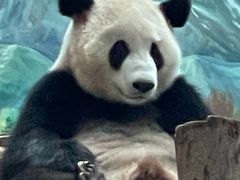 -武汉动物园