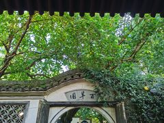 -绍兴鲁迅故里·沈园景区