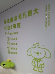 -凡碧诗毛孔清洁收细