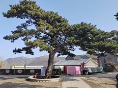 -妙峰山风景名胜区