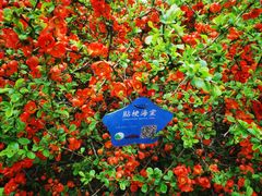 -元大都城垣遗址公园