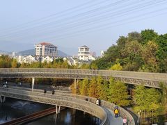 -福道