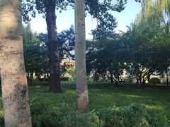 -元大都城垣遗址公园