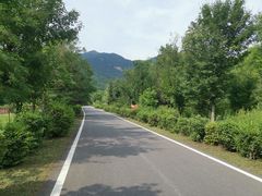 -三块石国家森林公园
