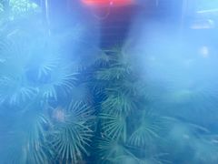 -明月山天沐温泉度假村