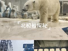 -大连圣亚海洋世界