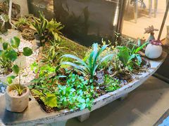 -彼芝奇比萨(红坊店)