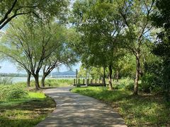 -高子水居