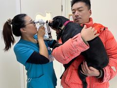 -美联众合动物医院·24h京西诊疗中心