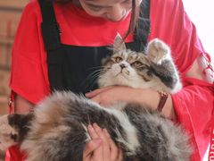 -五月木作·DIY木作文创体验店(北京路店)