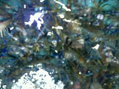 android_upload_pic-渔民新村(番禺总店)