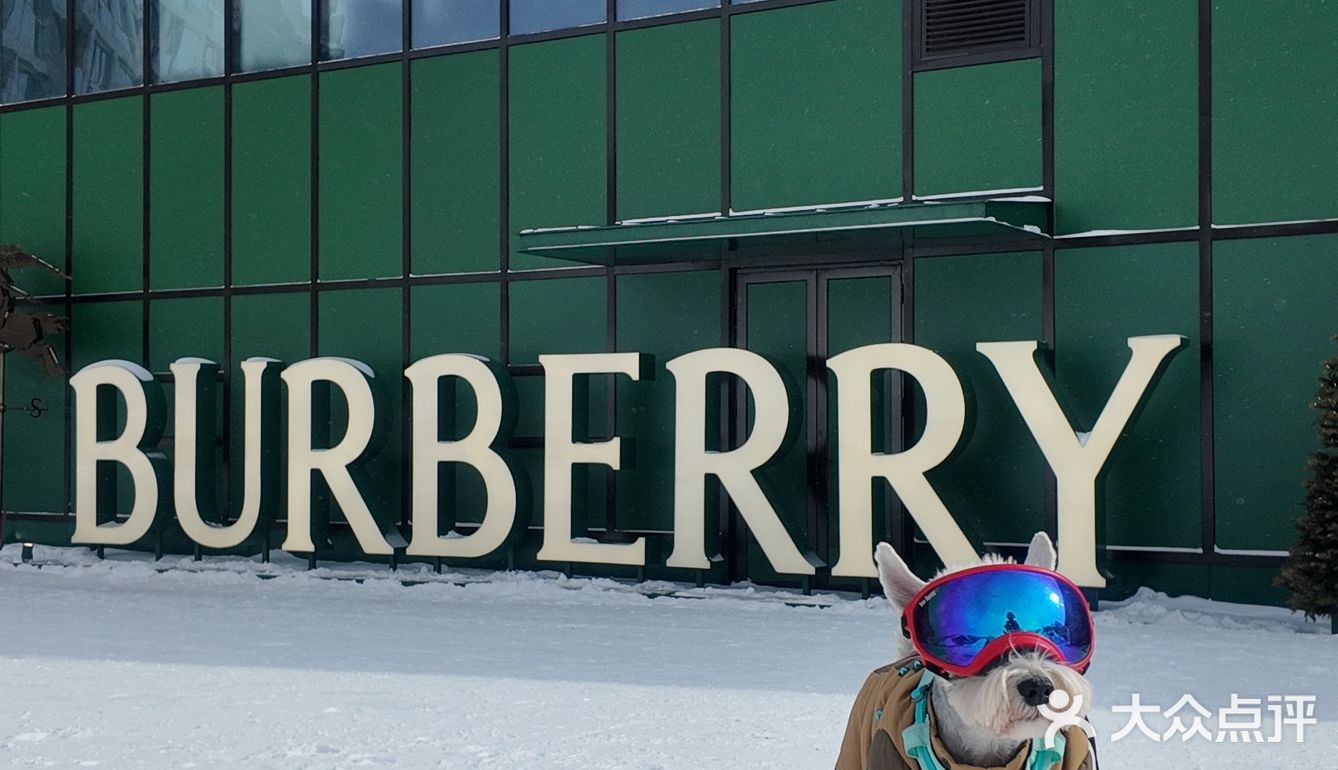 崇礼3月不滑雪🉑喝Burberry☕️攻略