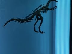 -北京周口店北京人遗址博物馆
