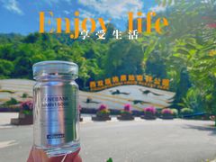 -西双版纳原始森林公园