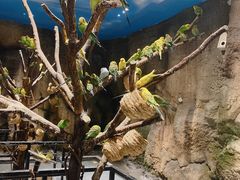 -zoonana室内动物园(东方福来德店)