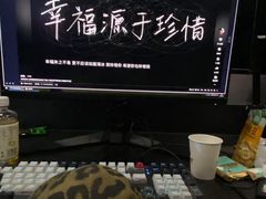 -绿树电竞(五路店)