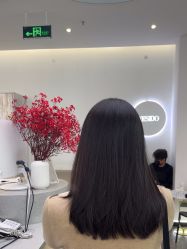 -YESIDO椰岛造型