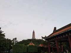 -顺峰山公园