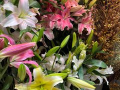 -三旗百汇商品城