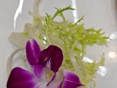 -阿里元老宋海鲜大排档(明发店)