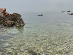 -养马岛旅游度假区