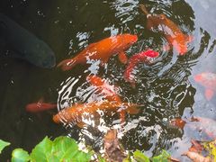 -孔氏南宗家庙