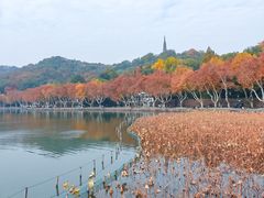 -北山街历史文化街区