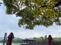 -湘湖大院(越王路店)