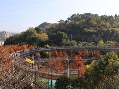 -福道