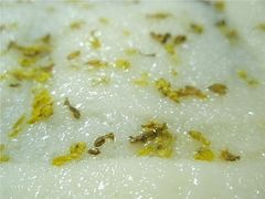 -一品方糕专卖店